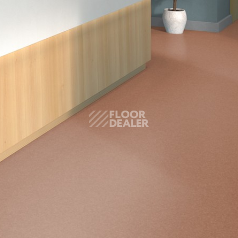 Tarkett iq Melodia 2618 фото 2 | FLOORDEALER